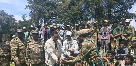 በጃናሞራ ወረዳ በጫካ ሲንቀሳቀሱ የነበሩ ታጣቂዎች የሰላም አማራጭን ተቀበሉ።