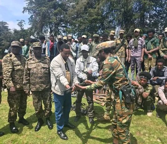 በጃናሞራ ወረዳ በጫካ ሲንቀሳቀሱ የነበሩ ታጣቂዎች የሰላም አማራጭን ተቀበሉ።