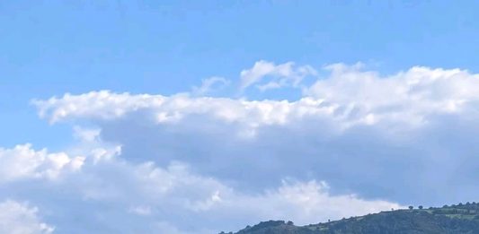 በሰሜን ሸዋ ዞን የግሪሳ ወፍ ሰብል እንዳይጎዳ በአውሮፕላን የታገዘ የኬሚካል ርጭት እየተከናወነ ነው።