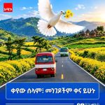 "የሰላም እጦትን እዳ ከፋይነት ይብቃ" የታዳጊዋ ወጣት ዓለምነሽ እውነተኛ ታሪክ 1789919500573