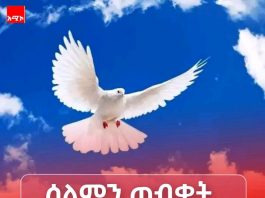 ሰላምን አጥብቃችሁ ያዟት !