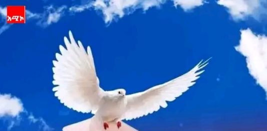 ሰላምን አጥብቃችሁ ያዟት !