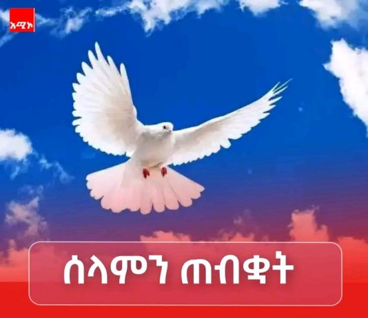 ሰላምን አጥብቃችሁ ያዟት !