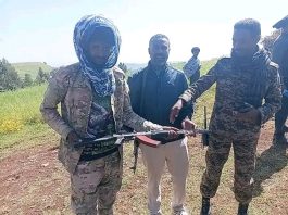 በወገራ ወረዳ በጫካ ሲንቀሳቀሱ የነበሩ ታጣቂዎች የሰላም አማራጭን መቀበላቸውን ቀጥለዋል።
