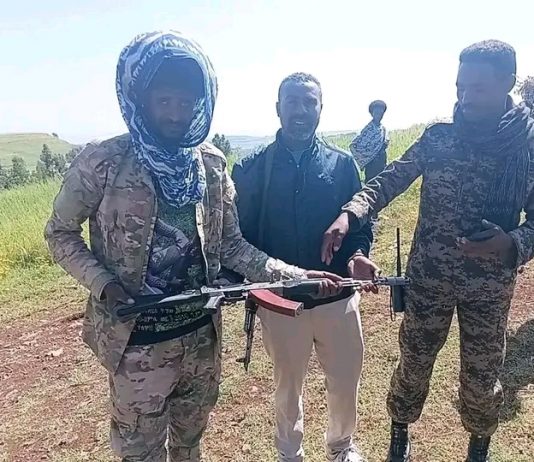 በወገራ ወረዳ በጫካ ሲንቀሳቀሱ የነበሩ ታጣቂዎች የሰላም አማራጭን መቀበላቸውን ቀጥለዋል።