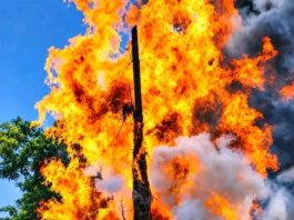 🔥 የደመራው ፍም እና የሰላም ብርሃን🕊️