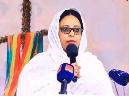 “ጎንደር የኢትዮጵያን ታሪካዊነት የምታጎላ ከተማ ናት” የቱሪዝም ሚኒስትር ሰላማዊት ካሣ