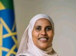 ወይዘሮ ጫልቱ ሳኒ የፌዴራል ቤቶች ኮርፖሬሽን ዋና ሥራ አስፈጻሚ ኾነው ተሾሙ።