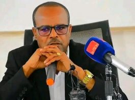 ወጣቶች የሰላም እና የአንድነት ግንባር ቀደም ዘቦች ሊኾኑ ይገባል።