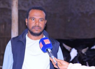 26 ቢሊዮን የአንድ ቀን ዶሮ ጫጩት ስርጭት በአማራ ክልል!