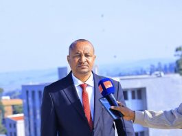 የማኛ ጤፍ ማቀነባበሪያ እና ሌሎች ኢንዱስትሪዎች ለደብረማርቆስ ማበብ ዐይን ገላጮች ናቸው።