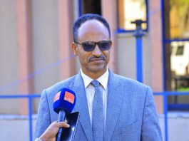 ከስጋት ወደ ልማት – የምሥራቅ ጎጃም ዞን አዲስ የኢንቨስትመንት ምዕራፍ