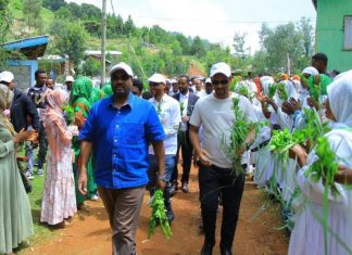“የክልሉ መንግሥት የጤና አገልግሎትን የተሳለጠ ለማድረግ እየሠራ ነው” ምክትል ርእሰ መሥተዳድር አብዱ ሁሴን (ዶ.ር)