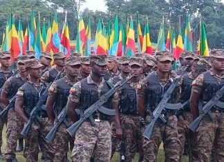 በጽኑዎች የተጠበቀች፣ በጽናትም የኖረች