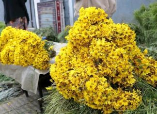 ከዓመት ዓመት የሚናፈቁት፣ በልብ ውስጥም የማይጠፉት የአዲስ ዓመት ትዝታዎች።