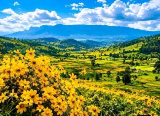 እንቁጣጣሽ የፍቅር እና የተስፋ ስጦታ