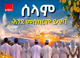 የአዲስ ዓመት ጎህ – ተናፋቂው የሠላም ፀዳል