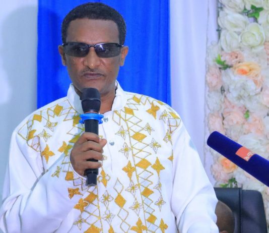 መሪዎች ባሳዩት ጽናት፣ ትዕግሥት እና ቁርጠኝነት ስኬታማ ሥራዎች ተሠርተዋል።