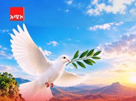 “ለሰላም እጦት መድኃኒቱ ቅን አዕምሮ ነው”