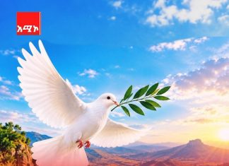 “ለሰላም እጦት መድኃኒቱ ቅን አዕምሮ ነው”