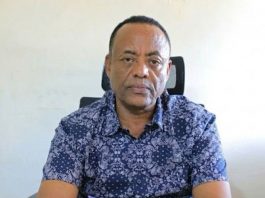 በምሥራቅ አማራ የተከሰተውን የግሪሳ ወፍ ወረርሽኝ ለመቆጣጠር በቅንጅት እየተሠራ ነው።
