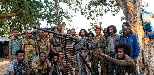 የሰላም ጥሪው ፍሬ ማፍራቱን ቀጥሏል !