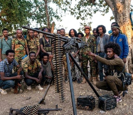 የሰላም ጥሪው ፍሬ ማፍራቱን ቀጥሏል !