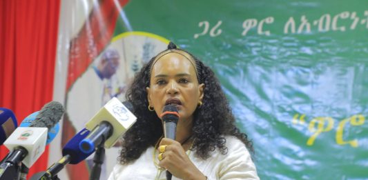“ጋሪ ወሮ” የቦሮ ሺናሻ ብሔረሰብ የዘመን መለወጫ በዓል እየተከበረ ነው።
