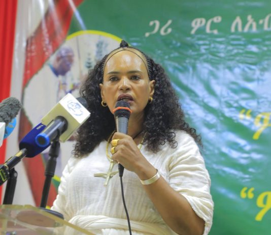 “ጋሪ ወሮ” የቦሮ ሺናሻ ብሔረሰብ የዘመን መለወጫ በዓል እየተከበረ ነው።