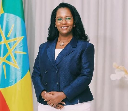 ወይዘሮ አዳነች አቤቤ የአዲስ አበባ ከተማ አሥተዳደር ከንቲባ ኾነው ተሾሙ።