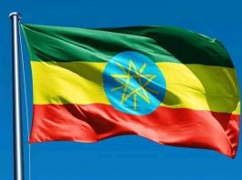 ኢትዮጵያ የአፍሪካ ምልክት እና አርዓያ ኾና ዘልቃለች።🇪🇹