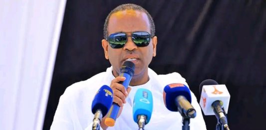 ባለ ጉዳዮች የፍትሕ አገልግሎትን በቪዲዮ ኮንፈረንስ እያገኙ ነው።
