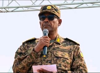 “ሠራዊቱ ኢትዮጵያን ለማጽናት ከፍተኛ መስዕዋትነት ከፍሏል” ጄኔራል ዓለምሸት ደግፌ