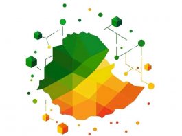 ለትልቅ ሀገር፣ ትልቅ ሕዝብ እና ታላቅ ርዕይ፤ ዲጂታላይዝድ ኢትዮጵያ