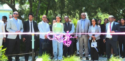 በዲጂታል ኢኮኖሚው የሴቶችን ተሳታፊነት የሚያሳድግ መርሐግብር በደብረ ብርሃን ዩኒቨርሲቲ ተጀመረ።