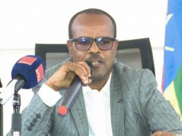 #ትልቅ_ሀገር_ትልቅ_ሕዝብ_ታላቅ ርዕይ! ዘላቂ ሰላምን ለማረጋገጥ የመንግሥት ሠራተኛው ሚና!