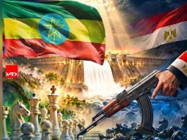 ሴራዎችን እየበጣጠሰች በመቆም የቀጣናው አለኝታነቷን የምታበስረው ኢትዮጵያ!