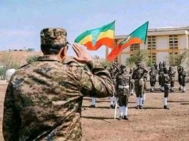 ከቀጣናዊ ስጋቶች በላይ ከፍ ብሎ የተቀመጠው የኢትዮጵያ የሀገር መከላከያ ሠራዊት!