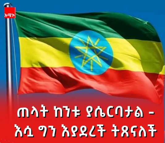 የግብጽ ሴራ እና የኢትዮጵያ ጽናት