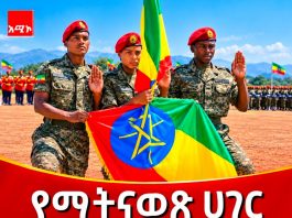 የሻብያ ሴራ እና የኢትዮጵያ የማይናወጥ ጽናት