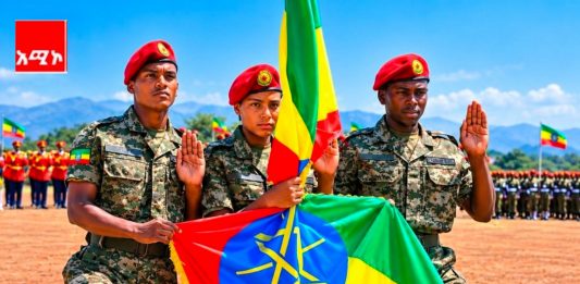 የሻብያ ሴራ እና የኢትዮጵያ የማይናወጥ ጽናት
