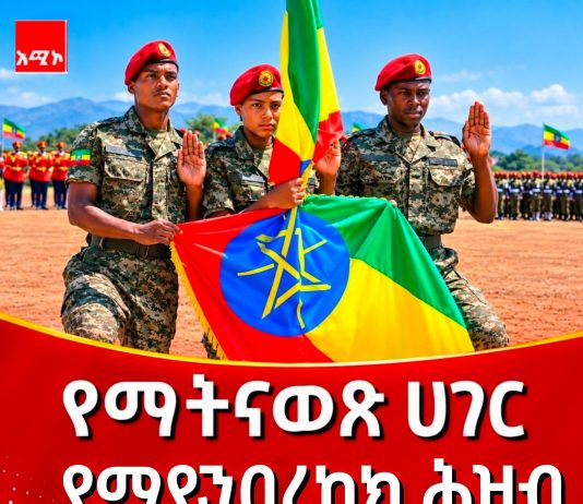 የሻብያ ሴራ እና የኢትዮጵያ የማይናወጥ ጽናት