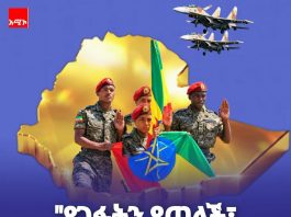 “የገፏትን የጣለች፣ የነኳትን የሰበረች”