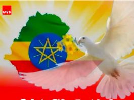 የኢትዮጵያ ቀጣናዊ የሰላም ዲፕሎማሲ አቅም እና ተጽዕኖ ፈጣሪነት !