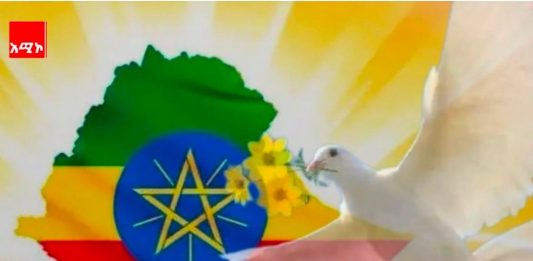 የኢትዮጵያ ቀጣናዊ የሰላም ዲፕሎማሲ አቅም እና ተጽዕኖ ፈጣሪነት !