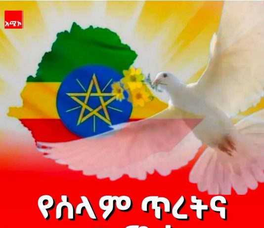 የኢትዮጵያ ቀጣናዊ የሰላም ዲፕሎማሲ አቅም እና ተጽዕኖ ፈጣሪነት !