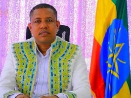 አቶ መልካሙ ሽባባው የደብረ ማርቆስ ከተማ አሥተዳደር ተቀዳሚ ምክትል ከንቲባ ኾነው ተሾሙ።