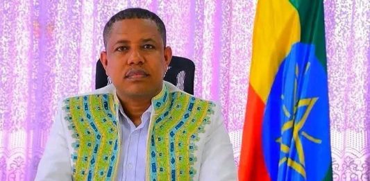 አቶ መልካሙ ሽባባው የደብረ ማርቆስ ከተማ አሥተዳደር ተቀዳሚ ምክትል ከንቲባ ኾነው ተሾሙ።