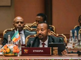የኢትዮጵያ ዓለም አቀፍ መታወቂያ፦የጋራ ዕድገት እና ተጠቃሚነት ላይ የጸናው ዲፕሎማሲ።