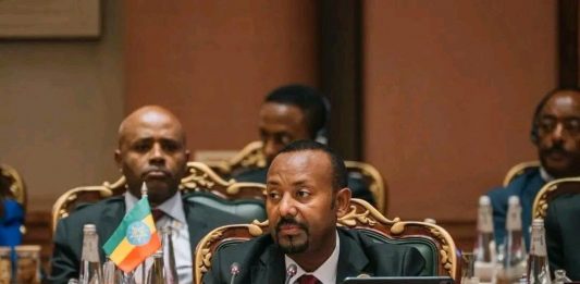 የኢትዮጵያ ዓለም አቀፍ መታወቂያ፦የጋራ ዕድገት እና ተጠቃሚነት ላይ የጸናው ዲፕሎማሲ።